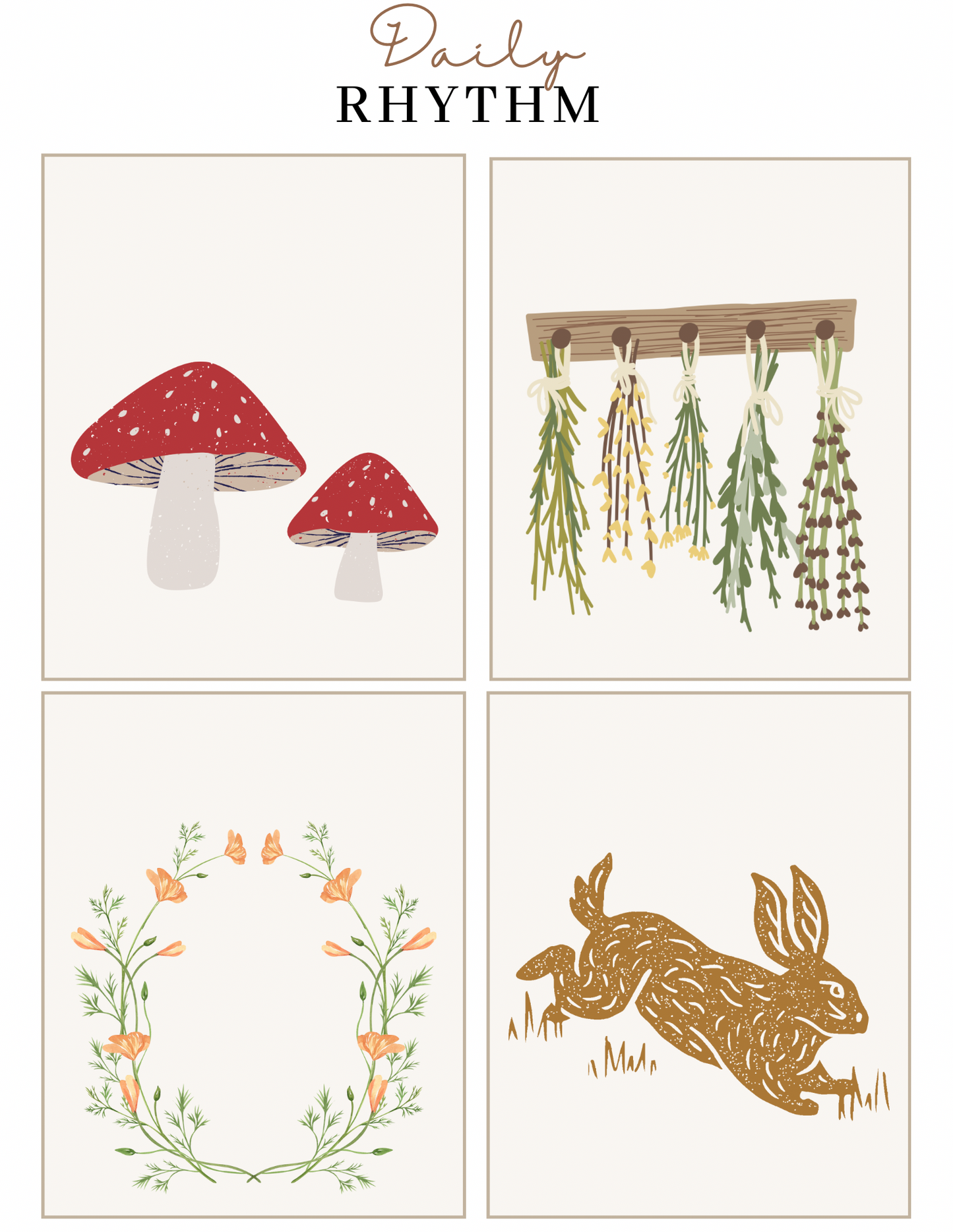 Daily Rhythm Cards