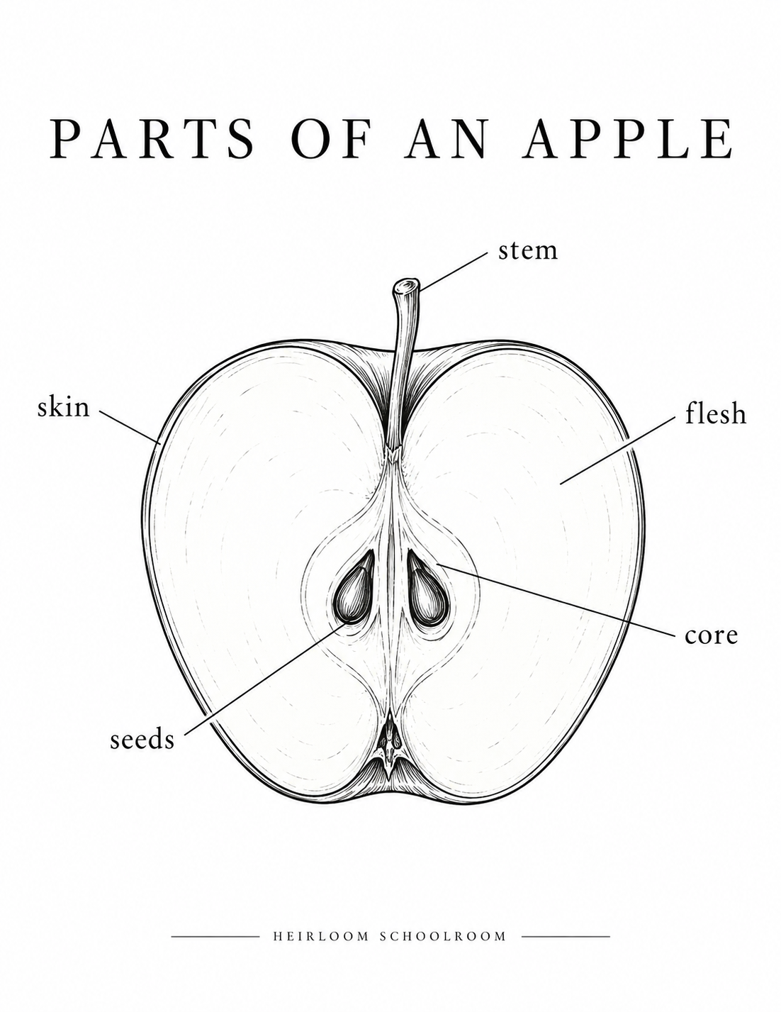 Mini Apple Unit